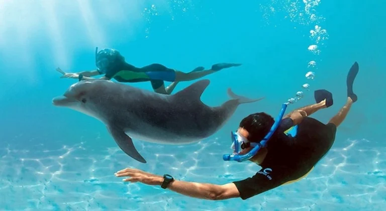Дом (бухта) дельфинов из Хургады 15 dolphin house hurghada tours get your tours egypt 7