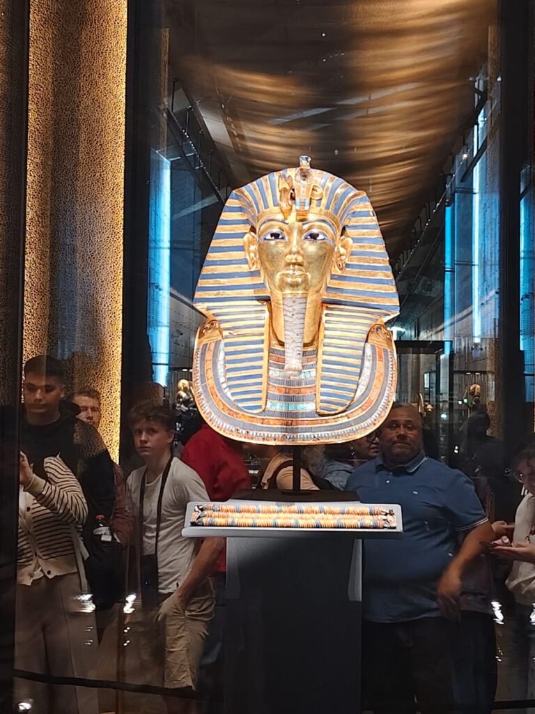 Каир автобусом из Шарм-эль-Шейха с посещением Grand Egyptian Museum (Новый музей) 1 img 20260219 wa0077